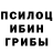 Галлюциногенные грибы Cubensis Mandarin Lychezarnuy