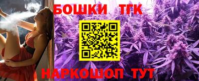 гидра Славгород