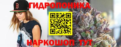 сатива Заводоуковск