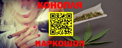 сатива Заводоуковск