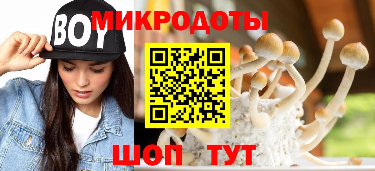 Галлюциногенные грибы Psilocybine cubensis Муравленко
